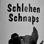 … einen oder mehrere Schlayer …