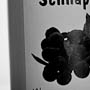 … einen oder mehrere Schlayer …